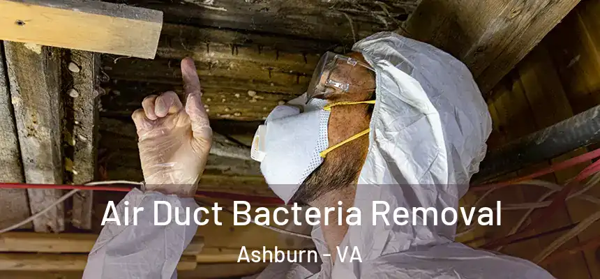 Air Duct Bacteria Removal Ashburn - VA