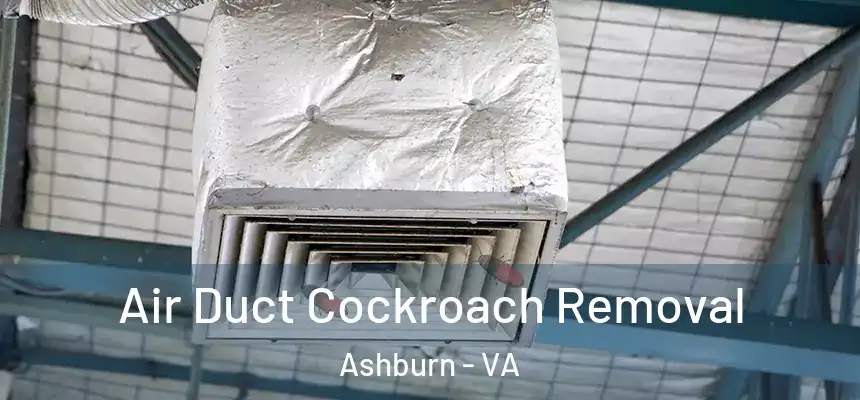  Air Duct Cockroach Removal Ashburn - VA