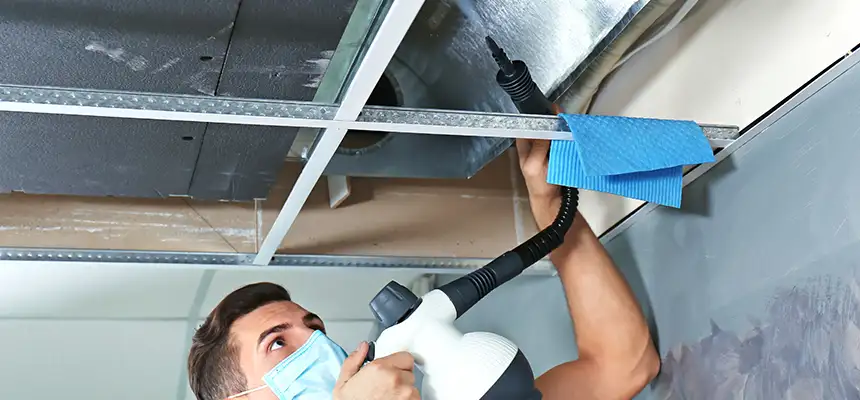 Our Air Duct Rodent Removal Services in Ashburn, VA