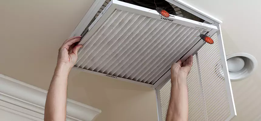 Our Insect Removal from Air Ducts Services in Ashburn, VA