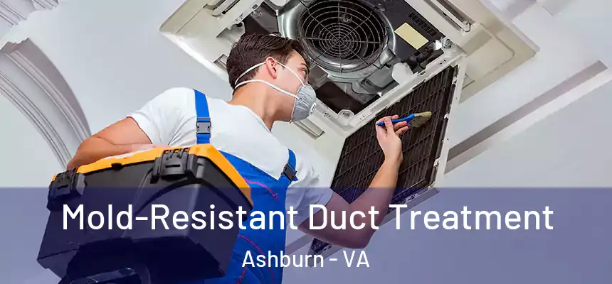  Mold-Resistant Duct Treatment Ashburn - VA