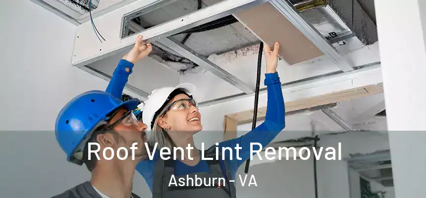  Roof Vent Lint Removal Ashburn - VA