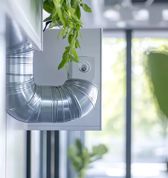 Professional Eco-Safe Dryer Vent Cleaning in Ashburn, VA