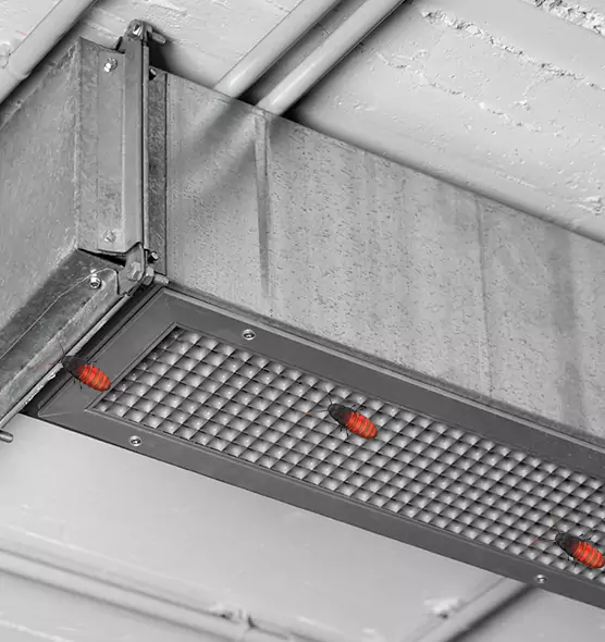 Affordable Insect Removal from Air Ducts in Ashburn, VA